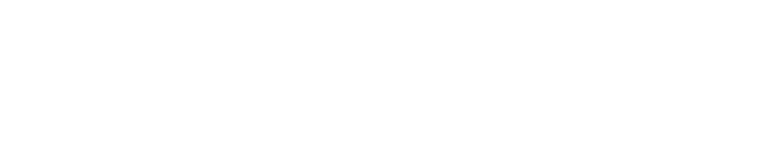 white connect logo