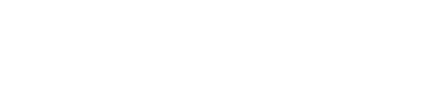 RFZ Logo