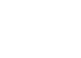 NPO Icon