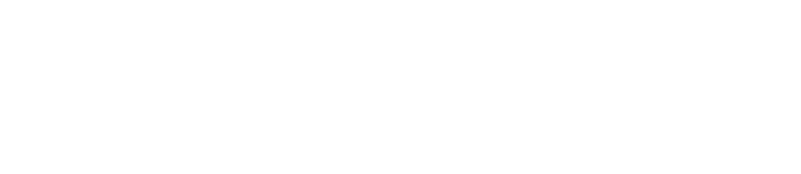 white connect logo