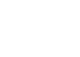 NPO Icon